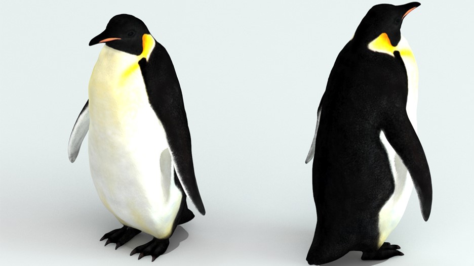 l'immagine rappresenta un esempio di modellazione 3D con la figura di 2 pinguini 