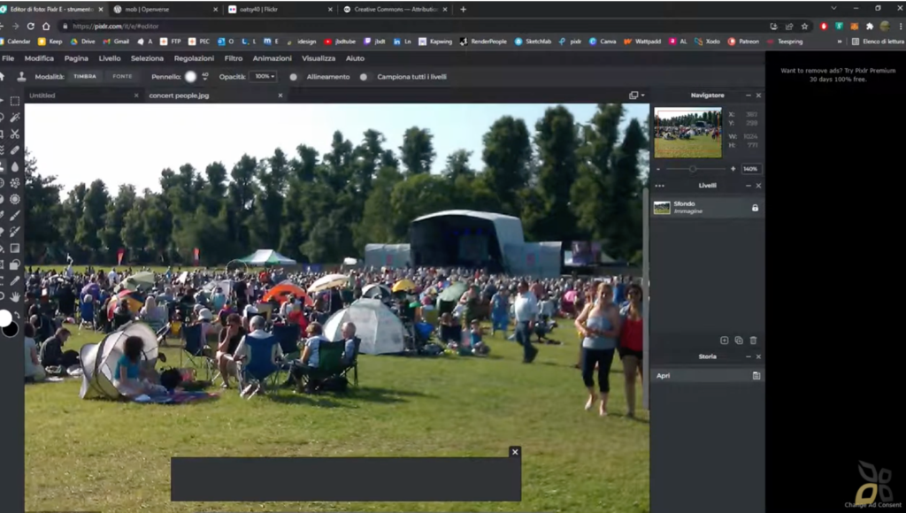 L'immagine rappresenta una moltitudine di persone ad un concerto, grazie al software Pixlr è possibile nascondere i difetti della foto o ritoccarli. 