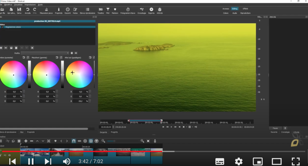 L'immagine rappresenta l'utilizzo di effetti visivi all'interno del video, in questo caso viene applicato un filtro di colore verde su un frame di un lago