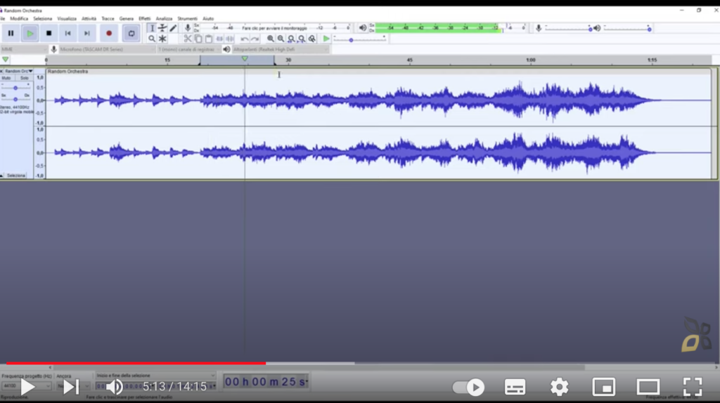 Nell'immagine si vede come è possibile creare un audio all'interno con l'utilizzo del software audacity.