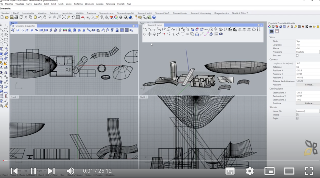 l'immagine rappresenta superfici da curve formate con linee nere 